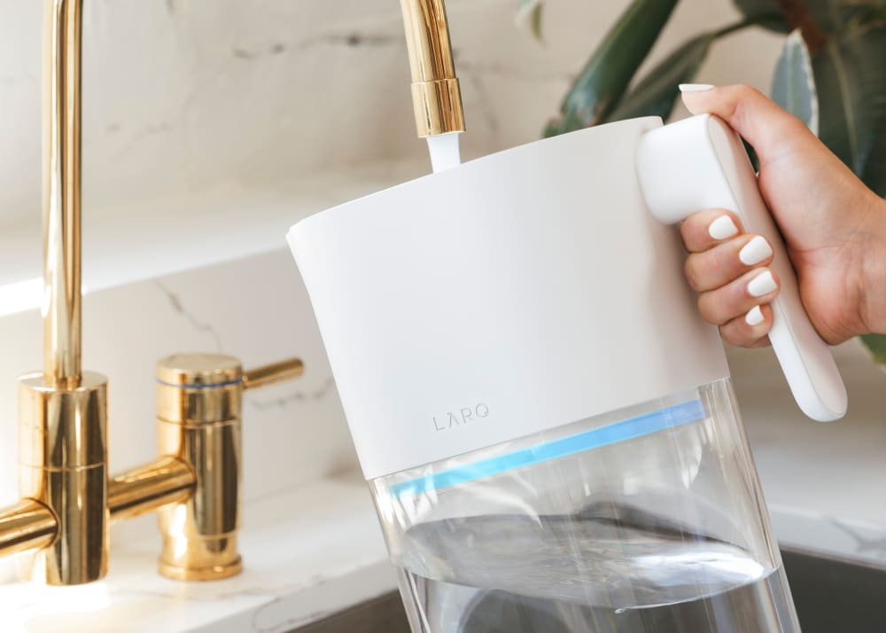 Larq pitcher filling with water